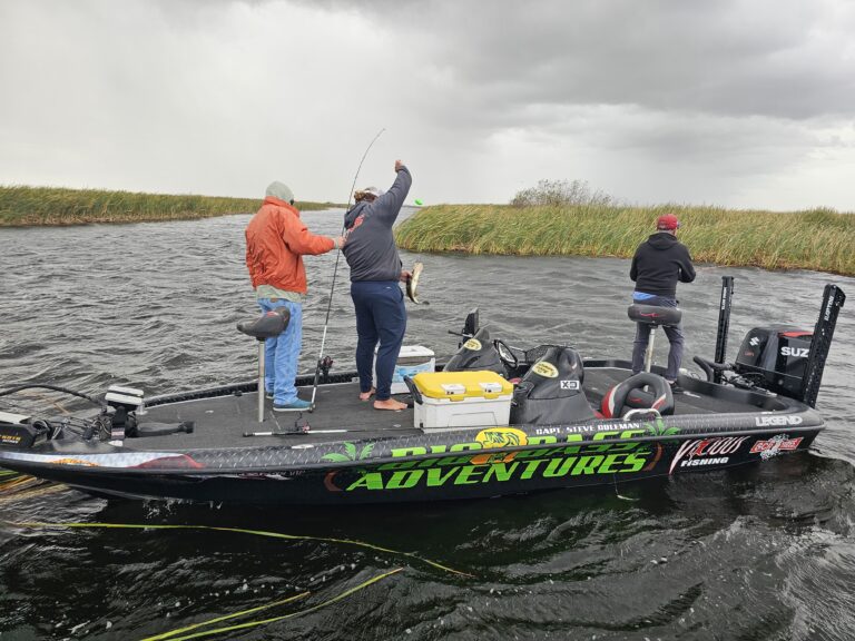 Freshwater Bass Fishing - Bass boat with 3 fisherman out on the water